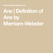 Ane Definition Of Ane By Merriam Webster Definitions Merriam Webster Webster