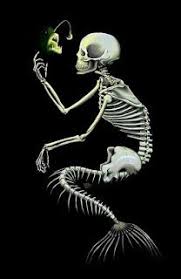 We did not find results for: Songs Of Eretz Poetry Review Anglerfish By James Frederick William Rowe Freq Mermaid Skeleton Mermaid Art Skull Art