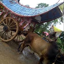 Dikutip situs kementerian pendidikan dan kebudayaan (kemendikbud), ragam hias adalah visualisasi dalam suatu karya kerajinan atau seni. Di Atas Kereta Lembu Melaka Farm