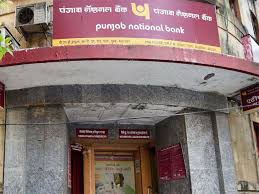 Pnb Fraud Punjab National Bank Appoints Pwc To Probe Rs
