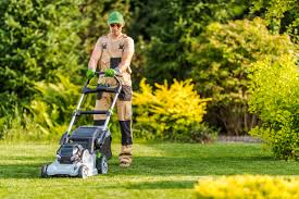 Achieving a Beautiful Lawn: Tips and Tricks To Remember - Lawn Edging