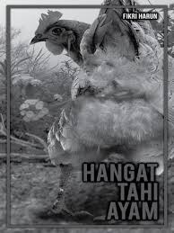 Simpulan bahasa hangat hangat tahi ayam ini membawa maksud: Hangat Tahi Ayam By Fikri Harun Overdrive Ebooks Audiobooks And Videos For Libraries And Schools