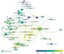 Image result for Landolphia eminiana