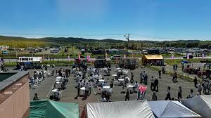 ecstatic - Search  X