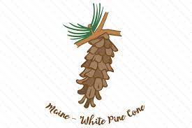 Maybe you would like to learn more about one of these? State Flower Maine White Pine Cone Svg Cut File By Creative Fabrica Crafts Creative Fabrica
