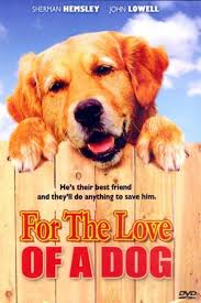15 Films About Golden Retrievers Page 2 The Paws In 2020 Dog Movies Golden Retriever Dogs