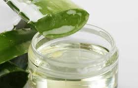 14 Home Remedies To Get Rid Of Black Knees And Elbow Organic Aloe Vera Gel Aloe Vera Skin Care Aloe Gel