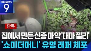 KBS에 빌스택스 체포영상 떴다 ㅋㅋㅋㅋ - 유머/움짤/이슈 - 에펨코리아