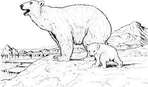 The ice can be pale pink. Free Printable Polar Bear Coloring Pages For Kids