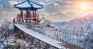 Korean demilitarized zone adalah terkenal sebagai garis sempadan antara korea selatan dan korea utara. Kenapa Korea Selatan Menjadi Pusat Pelancongan Utama Bagi Kaki Melancong Muslimtravelbug