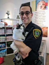 About adoption find your perfect cat waiting for you at cat depot. Houston Police Officers Union On Twitter Be Connie S Hero Today Adopt This Beautiful Cat All Her Kittens Have A Home And Now Its Her Turn Https T Co Y6r8ter4en Friends4lifeorg Https T Co Dmfezcho6i