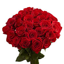 We did not find results for: Amazon Com 100 Red Roses Lovely Fresh Flowers Next Day Delivery Fresh Cut Format Rose Flowers Grocery Gourmet Food