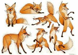 Maybe you would like to learn more about one of these? 520 About A Fox Ideas In 2021 Fox Fox Art Fox Drawing