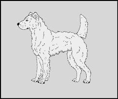 Abakan Shepherd Dog Long Hair Line Art (FREE) by Lac-Lavon