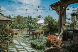Posted by cactus eyed joe at 11:46 am. Test Lawn Garden Retailer