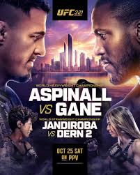 Valetudo.Ru Новости ММА