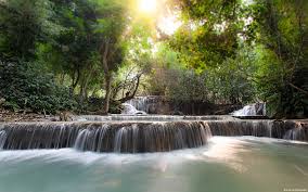 Check spelling or type a new query. Hd Wallpaper Forest Waterfall Windows 10 Desktop Wallpaper Tree Flowing Water Wallpaper Flare
