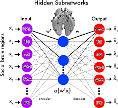Using the arts as a pedagogical tool, sitfe aims to unlock the potential of . Deep Learning Identifies Partially Overlapping Subnetworks In The Human Social Brain Communications Biology
