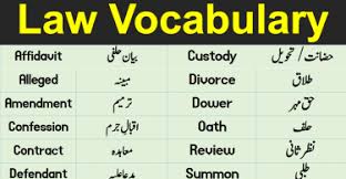 Learn English In Urdu English Vocabulary In Urdu Vocabineer Vocabulary Vocabulary Words English Vocabulary