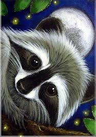 5d Diamond Painting Raccoon Kit Animal Paintings Animal Art Animal Drawings