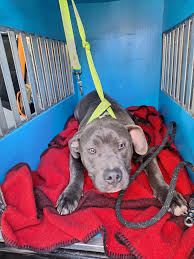 Community Forum of Hackettstown