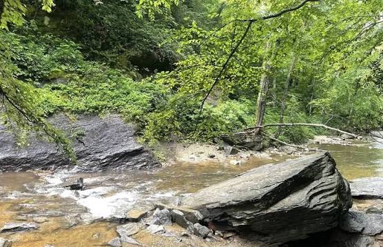 Looking Glass Waterfalls, North Carolina - 1,311 Reviews, Map | AllTrails