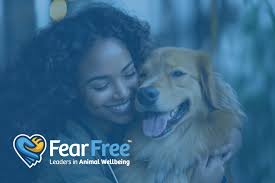 IGNITE® Veterinary Solutions Teams Up with Fear Free® to Elevate Veterinary  Training and Care