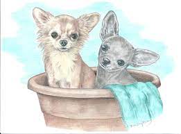 Binky Cartoon Dog Cute Dogs Dog Illustration