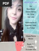 Aspiraciones Personales y Laborales