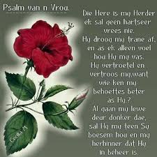 Pin By Rika On Bybel Verse Trane Sal Droog