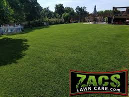 We also know that different people have individual preferences for lawn care. Best Lawn Care In Fayetteville Rogers Lowell Springdale Ar And Nwa