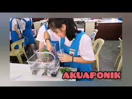 Rbt tingkatan 2 bab 2.5 reka bentuk akuaponik. Akuaponik Rbt Tingkatan 2 Youtube