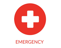 Emergency ( plural emergencies ) a situation which poses an immediate risk and which requires urgent attention. Out Of Hours Emergency Student Guidance Centre Queen S University Belfast