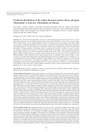 Gunung kinabalu setelah terjadi gempa bumi. Pdf Predicted Distribution Of The Yellow Throated Marten Martes Flavigula Mammalia Carnivora Mustelidae On Borneo