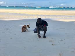Arahan, tempahan, tempahan, keadaan kemas, sistem, urutan, ketenteraman, arahan, golongan…. Me And Johnny Touring White Sand Beach Boracay Picture Of Boracay Malay Tripadvisor