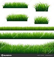 Rumput hijau, aluebujalan, aceh, indonesia. Vektorgrafiken Latar Belakang Rumput Hijau Vektorbilder Latar Belakang Rumput Hijau Depositphotos