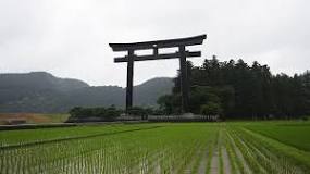 Image result