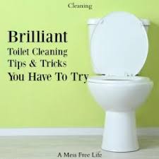 Brilliant Toilet Cleaning Tips And Tricks Toilet Cleaning Hacks Toilet Cleaning Cleaning Hacks