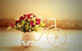 Bicycle Flower Pot Hd Wallpaper Vintage Flowers Wallpaper Beautiful Flowers Wallpapers Flower Wallpaper