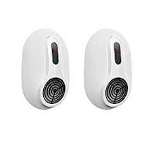 Anti Souris 10 Trucs Et Repulsifs Contre Les Souris Anti Rat Rat Souris Anti Souris