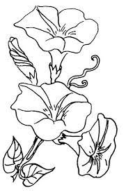 Flowers 5 Morning Glory Flower Coloring Pages Flower Drawing Embroidery Flowers