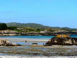 Beach In Durrus Ireland Adventure Of The Seas Travel Abroad Ireland