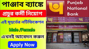 Bank of abyssinia (boa) location: Wegagen Bank Vacancy 2020 Berhan International Bank Vacancy