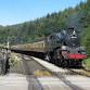 Annual Steam Gala