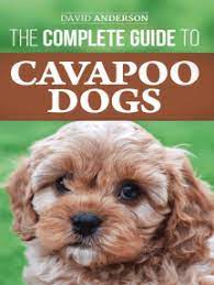 Check spelling or type a new query. Read The Complete Guide To Cavapoo Dogs Everything You Need To Know To Sucessfully Raise And Train Your New Cavapoo Puppy Online By David Anderson Books