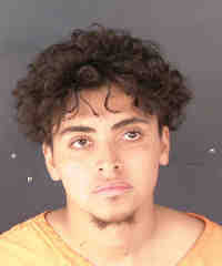 Nearly 20 new Sarasota County Jail arrest mugshots