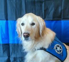 R.I.P. K9 “KANE” It's with a heavy heart that we announce the passing of  our very own K9 Officer “Kane”. Kane passed away in his sleep last night,  he had recently turned