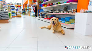 Animal atlanta, pet store woodstock ga, are you looking for a new pet for your family? Jobs For People Who Love Animals Cloud Information And Distribution