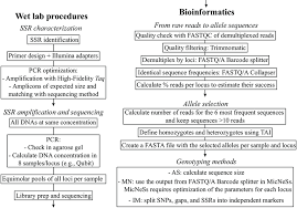 Diagram Chart Of The Pipeline Followed In This Study To