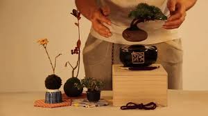 The best gifs are on giphy. Air Bonsai Gif Find On Gifer